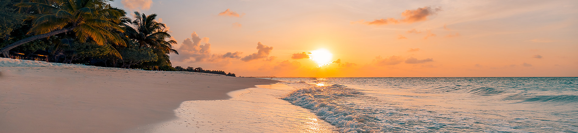 Coucher de soleil tropical sur la plage, palmiers et mer, idéal pour un séjour Casa Dorada