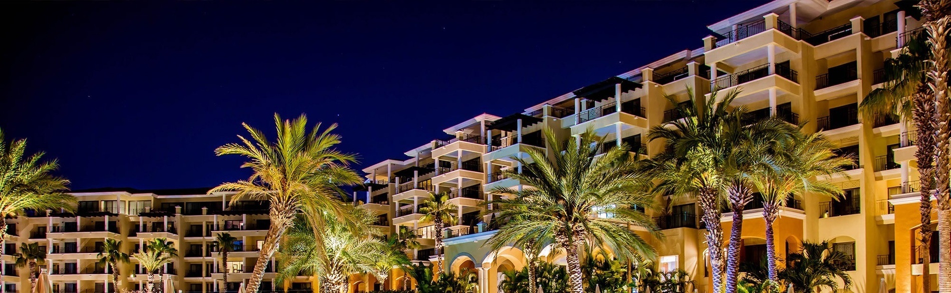 a large building with palm trees in front of it at night
