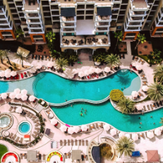 an aerial view of a large swimming pool surrounded by palm trees