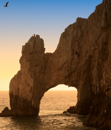 ein Vogel fliegt über einen Felsenbogen im Ozean