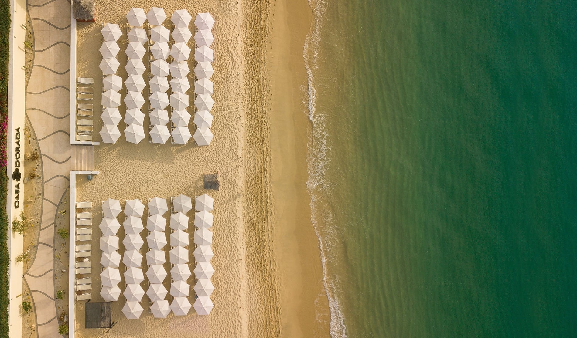 Aerial view of white sunbeds and umbrellas at Casa Dorada Los Cabos Resort & Spa.
