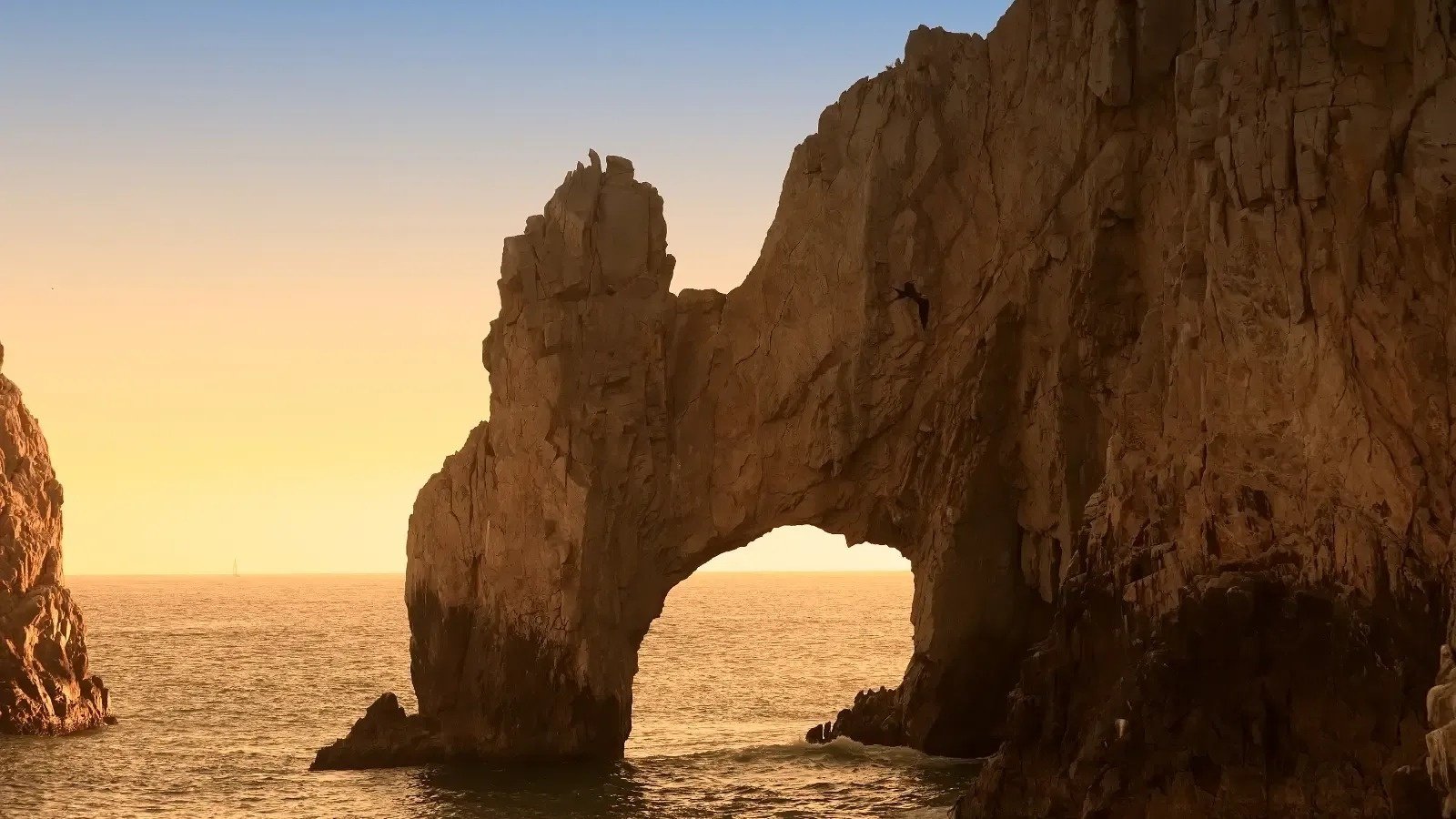 Playa de los Cabos