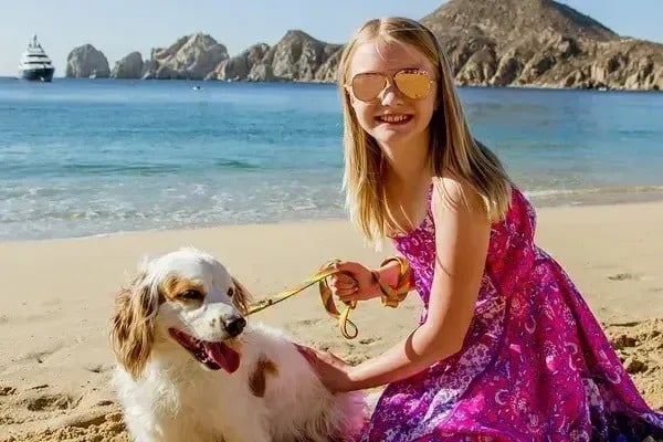 Bienvenidas Mascotas