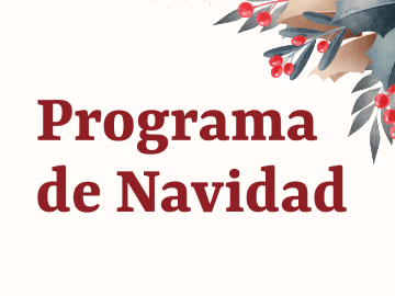 Programa de Navidad