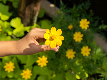 Oferta Especial de Primavera