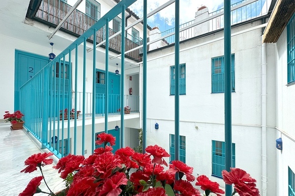 een binnenplaats met blauwe en witte gebouwen en rode bloemen