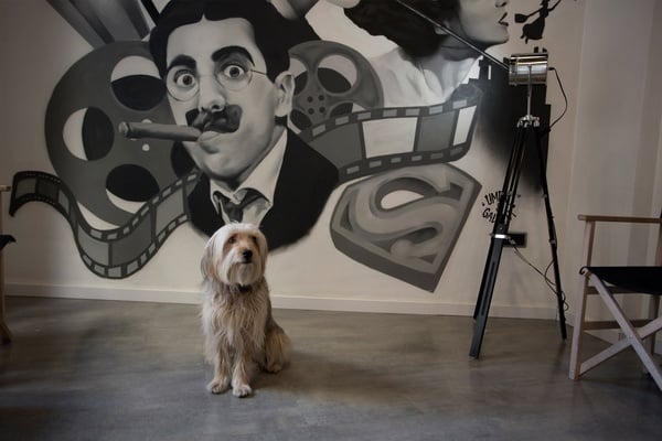 un perro se sienta frente a un mural de charles chaplin
