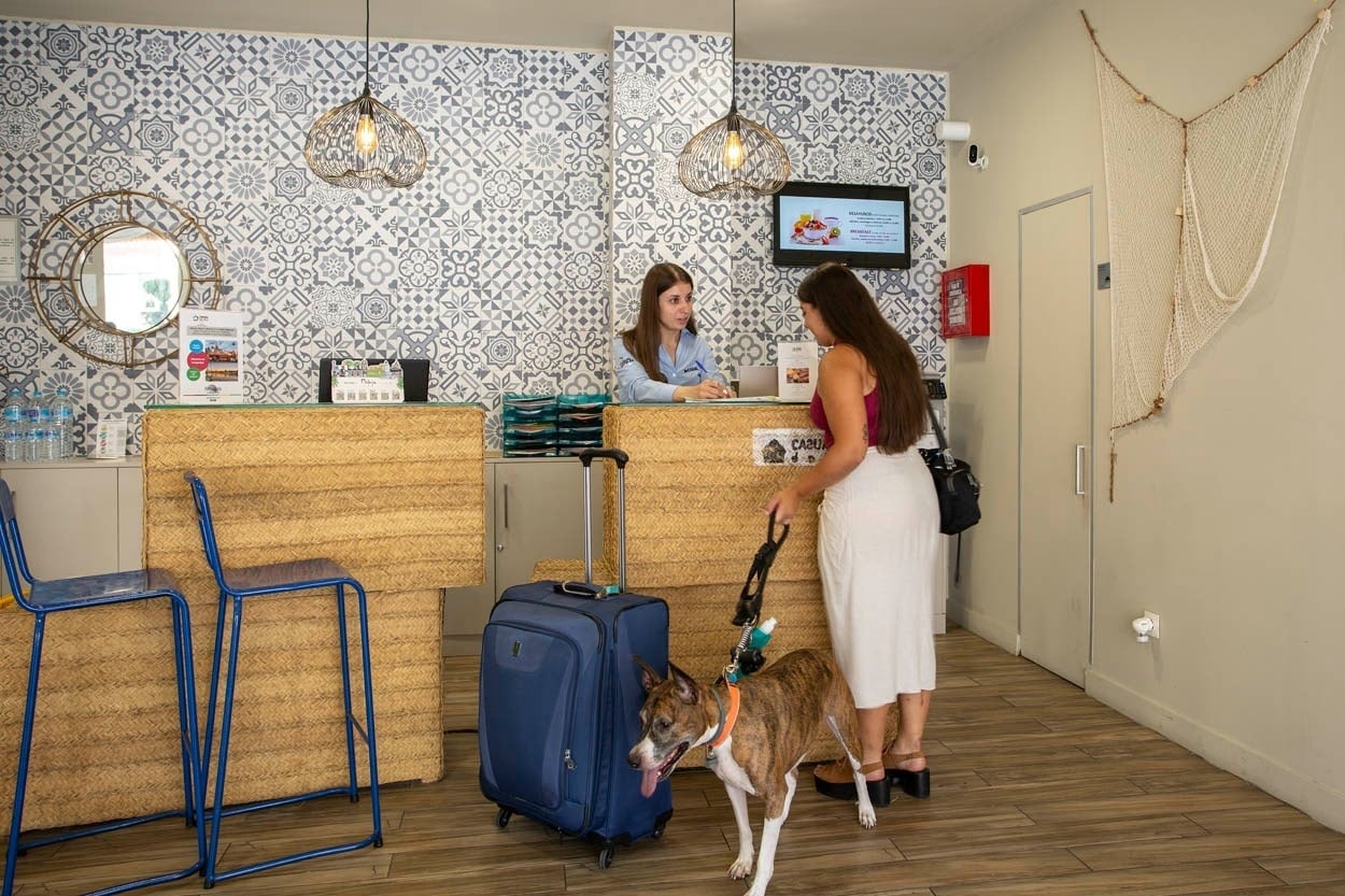 Hund mit Gepäck an der Rezeption im Casual del Mar Málaga, zentrales Hotel in Meeresnähe.
