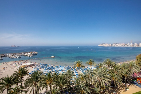 una playa llena de palmeras y sombrillas azules