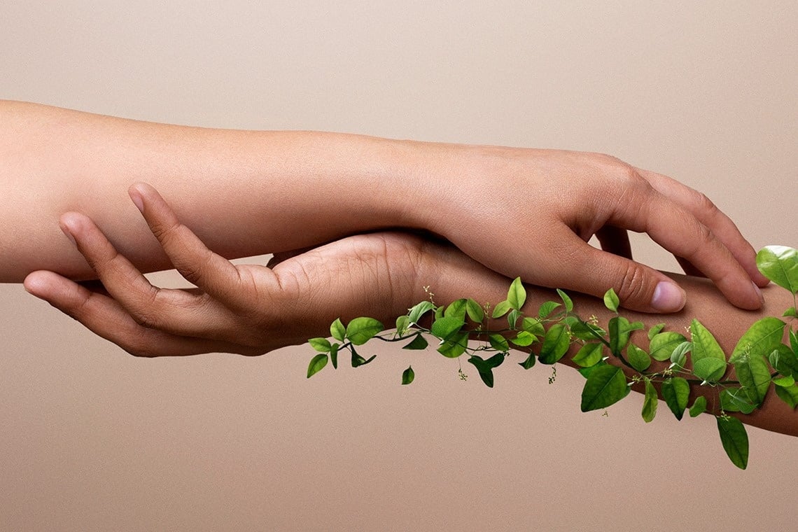 een persoon plantt een kleine plant in de grond