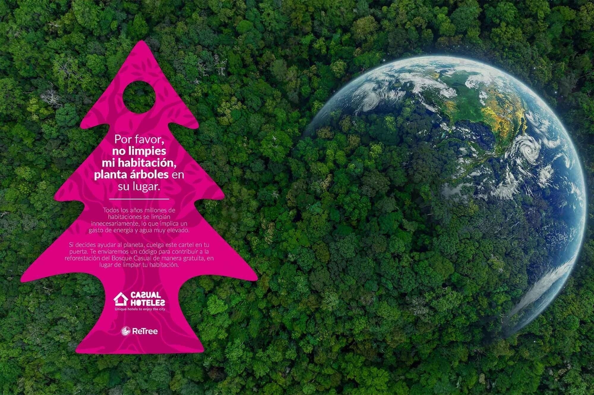 Bienvenue aux Bosque Casual Hotels : une oasis de durabilité à Teruel