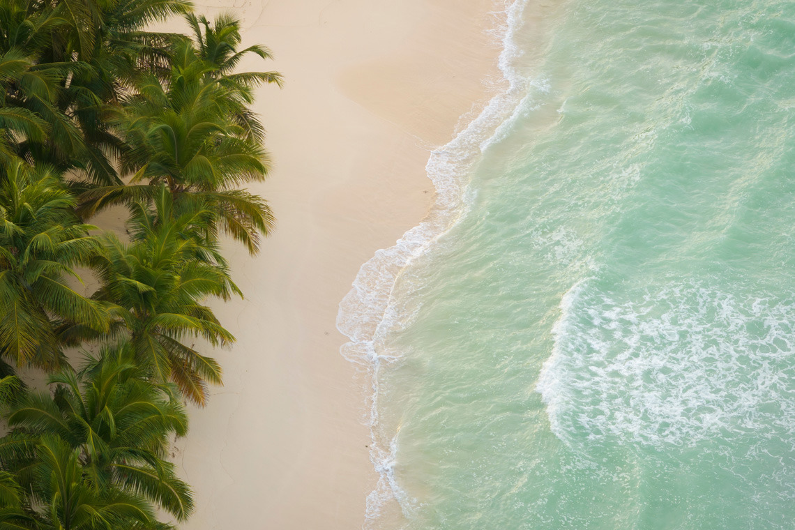 Vista aérea de una playa de Bayahíbe con palmeras, arena blanca y aguas turquesas.