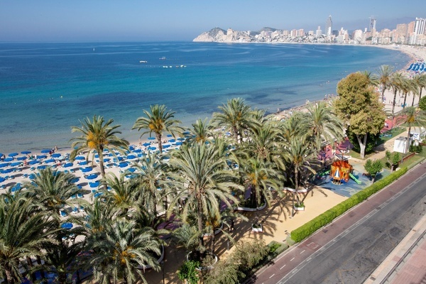 una vista aérea de una playa con palmeras y una ciudad en el fondo