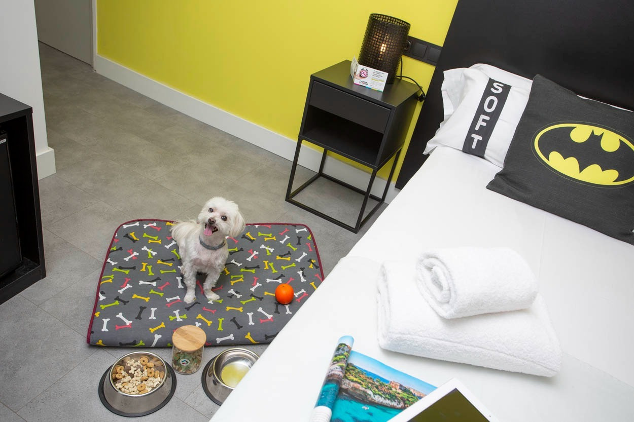 Welpenfreundliches Zimmer im Casual Pop Art Benidorm – Hotel im Pop-Art-Stil mit Hundematte & Näpfen.