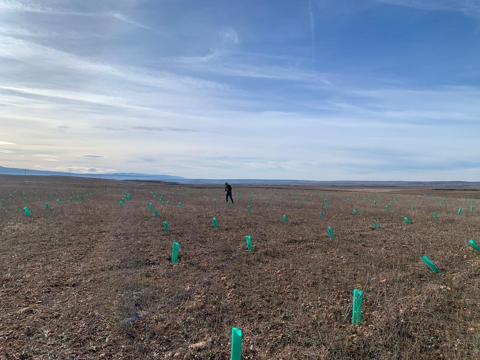 El Bosque Casual erreicht die Zahl von 1.000 gepflanzten Bäumen