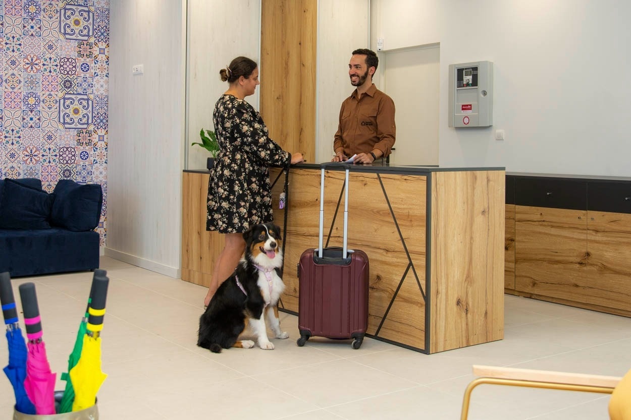 Casual Raízes Porto - Boutique hotel vicino a Santa Catarina: cane e ospite al check-in
