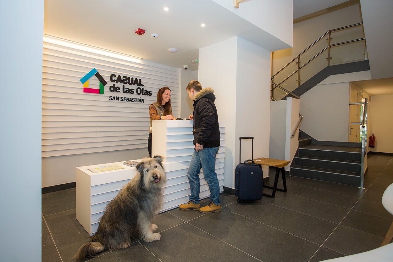 Hund am Empfang im Casual de las Olas San Sebastián - Themenhotel in San Sebastián | Casual Hoteles
