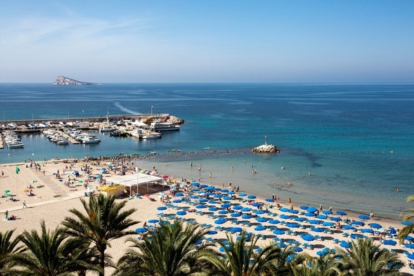 una playa con muchos sombrillas azules y palmeras