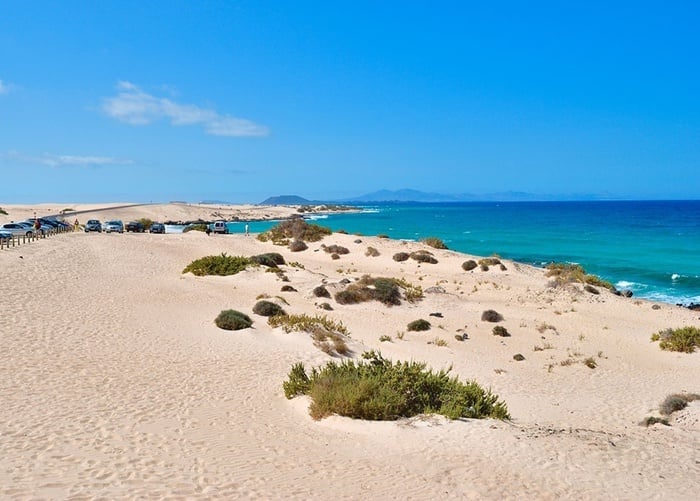cars are parked on a sand dune near the ocean