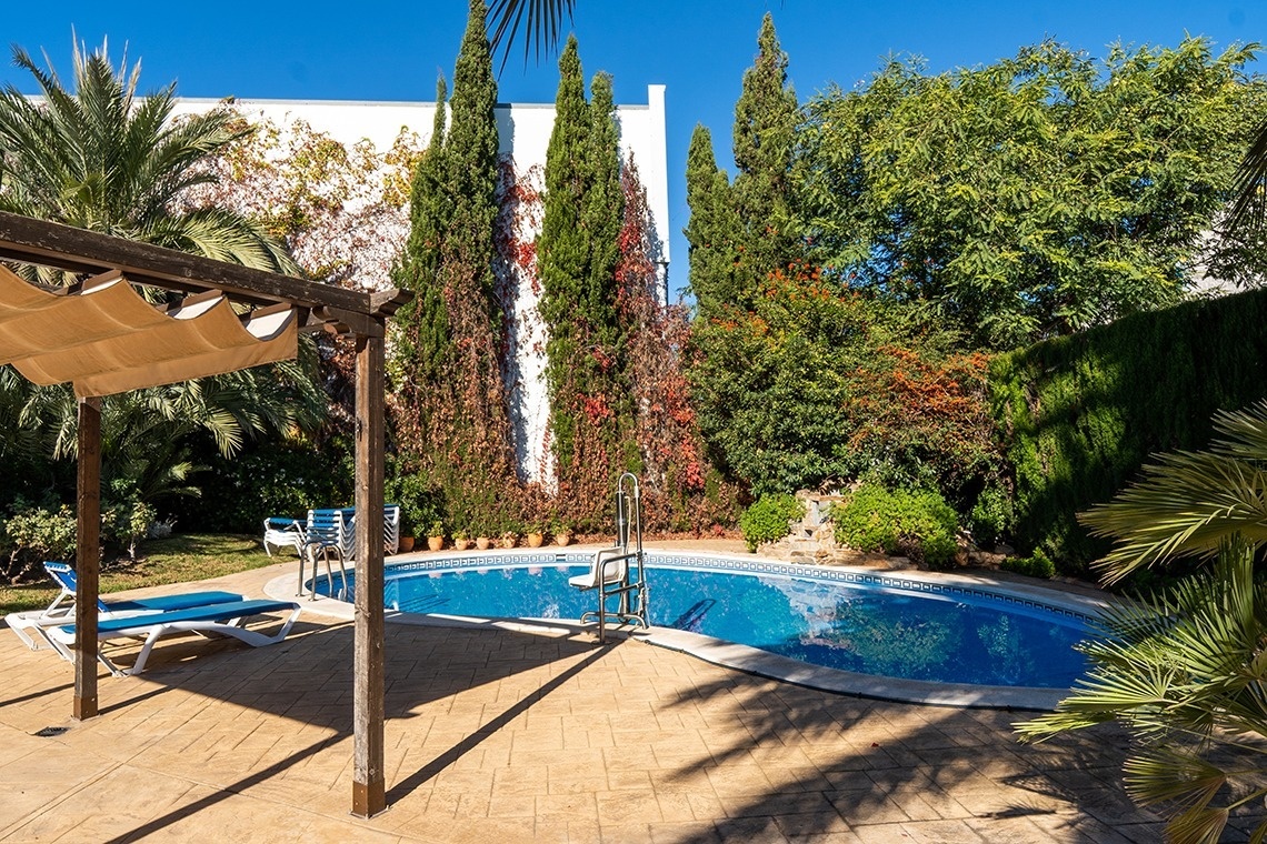 una piscina rodeada de palmeras y árboles en un patio