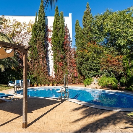 una piscina rodeada de palmeras y árboles en un patio