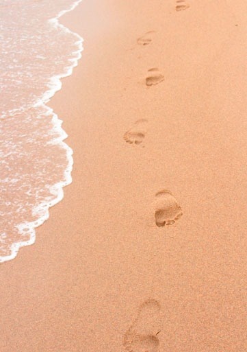 hay muchas huellas en la arena en la playa .