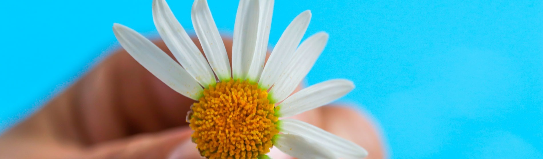 Checkin Hoteles | Mejor precio online | Web Oficial