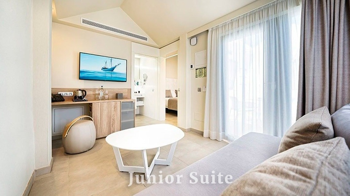 una suite junior con un sofá y una televisión