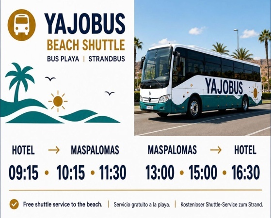Buslenkrad und Armaturenbrett im Club Maspalomas