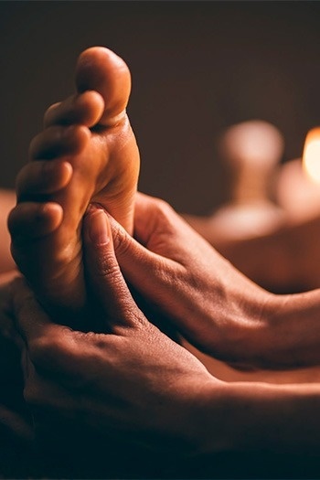 Nutrición e hidratación