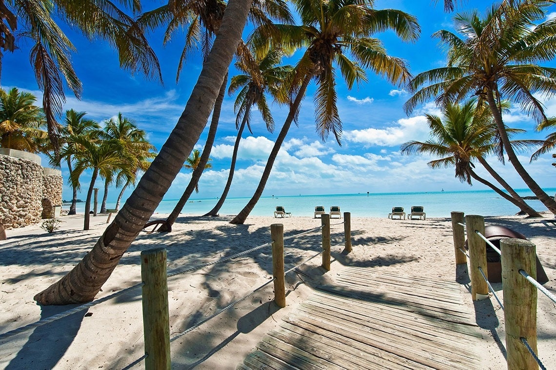 a wooden walkway leading to a beach with palm trees