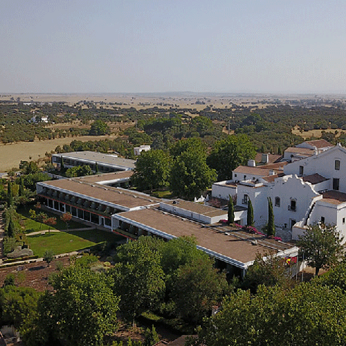 una vista aérea de un gran edificio blanco rodeado de árboles