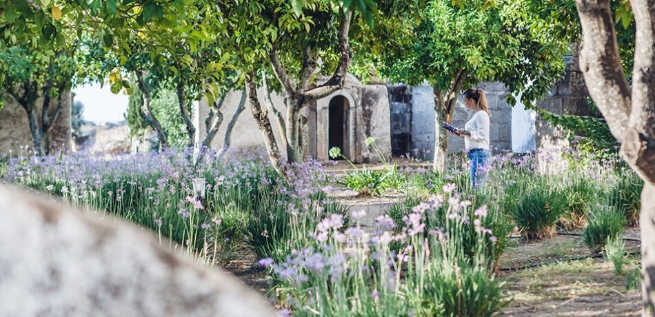 Good Weather at the Convent & the Arrival of Spring