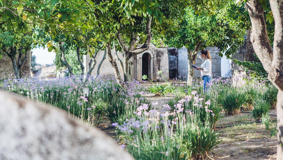 Flowering garden at Convento do Espinheiro with a woman reading.