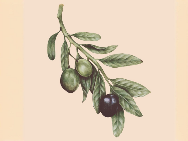 un edificio blanco con una cruz en el techo