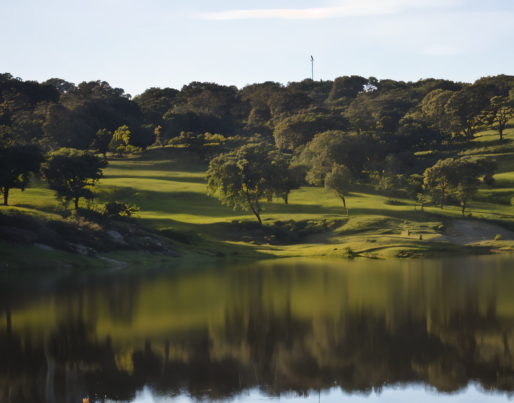 a large body of water with trees in the background
