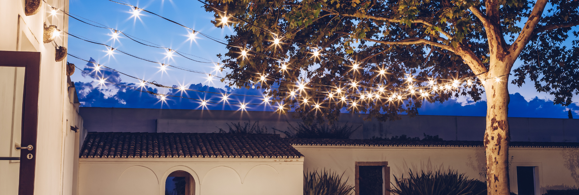 a string of lights hangs from a tree in front of a white building