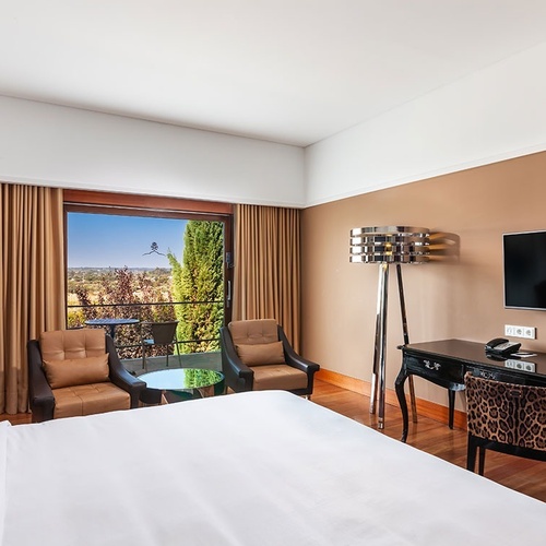 una habitación de hotel con una cama y una televisión