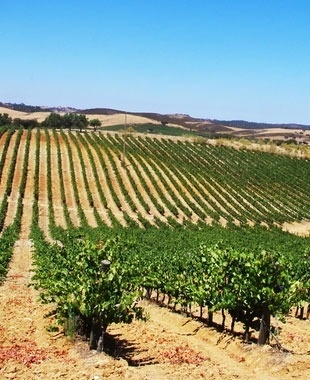 Enjoy the best that Évora has to offer