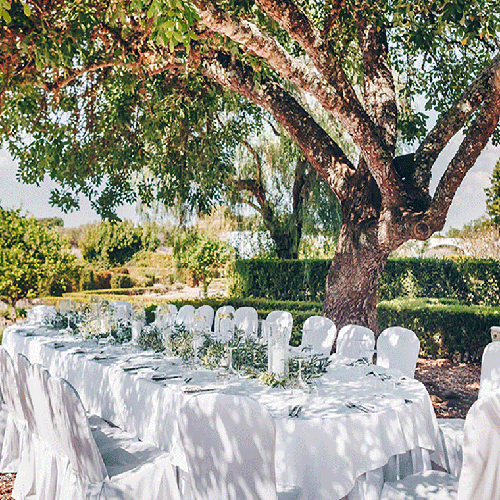 una mesa y sillas blancas están bajo un árbol
