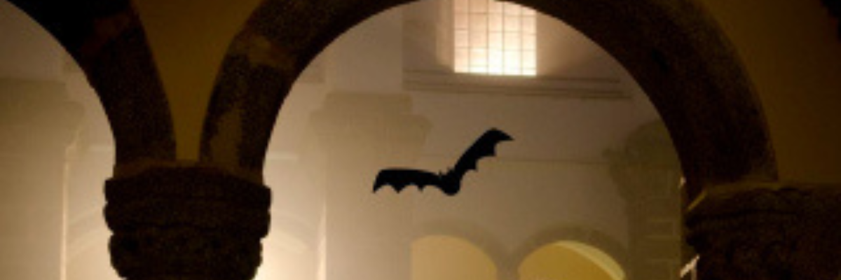 Stay up to date with all the events we have for you!