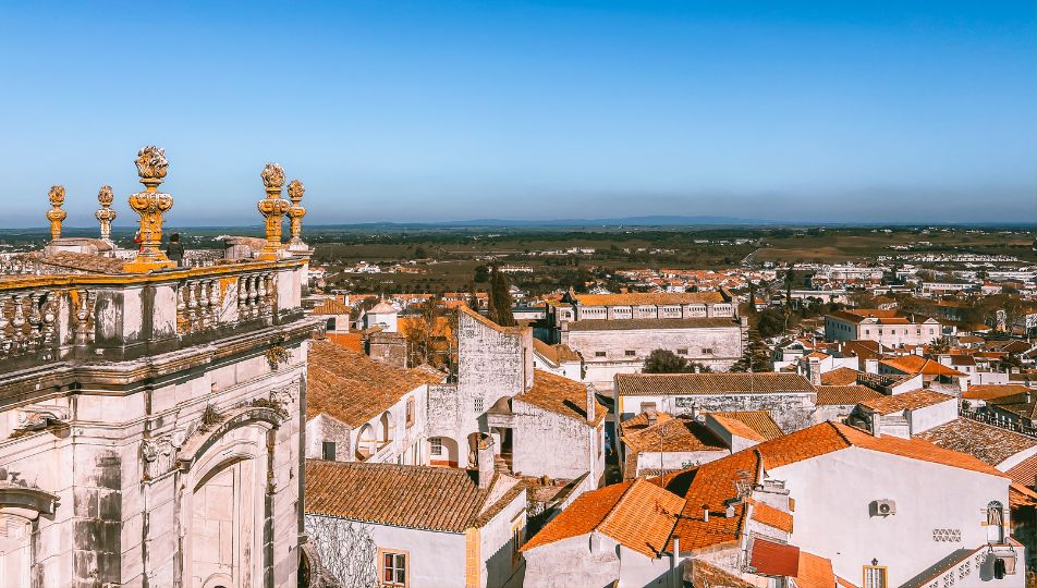 a city with a lot of buildings and a few trees