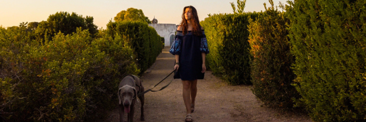 Pet Friendly Holidays