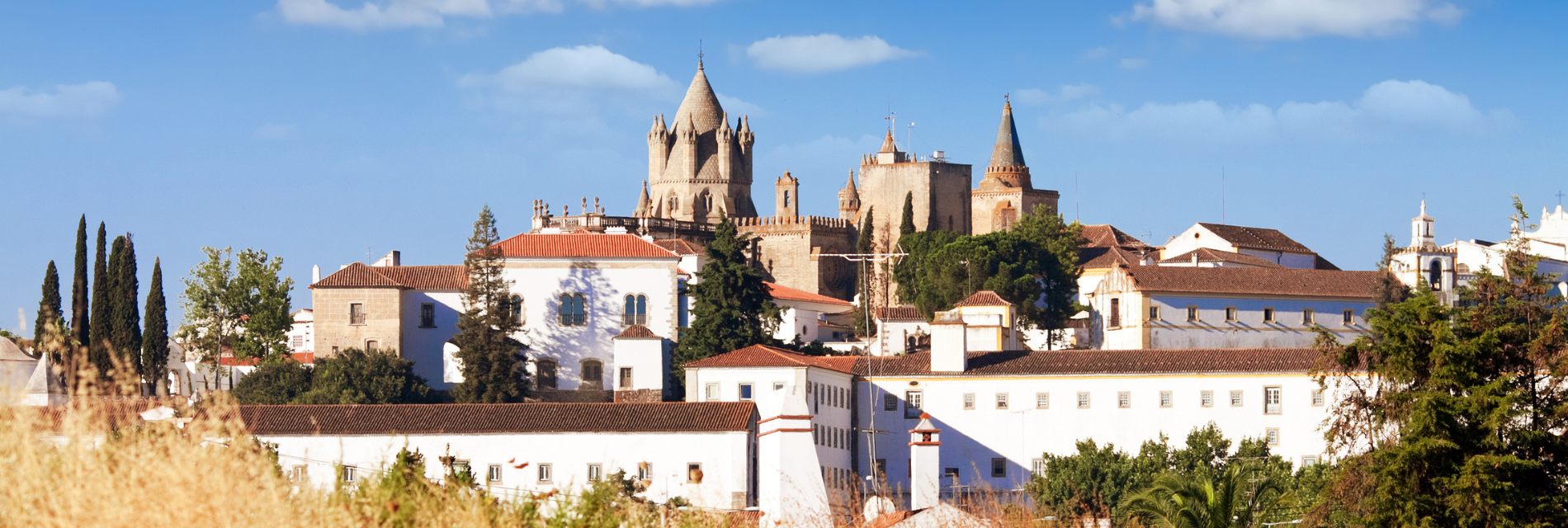 a castle sits on top of a hill surrounded by buildings