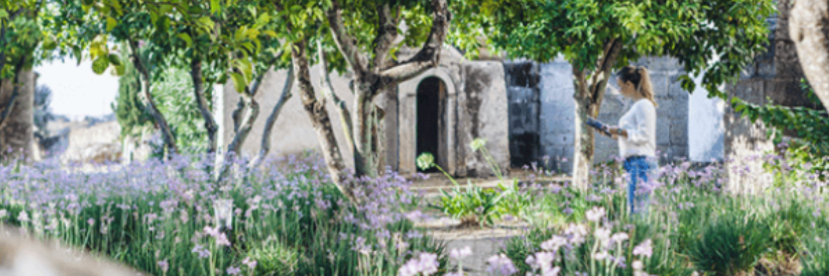 Exploring Autumn in Alentejo: The Magic of Convento do Espinheiro and its Historic Gardens