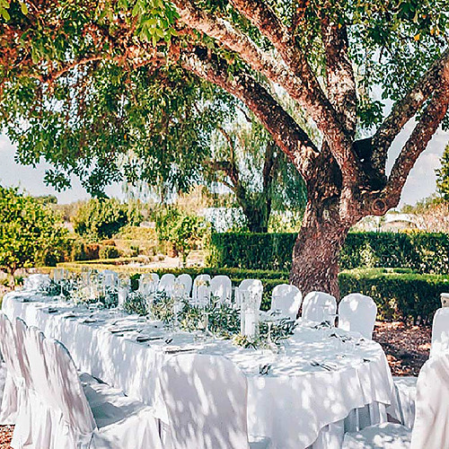 Banquete al aire libre en Convento do Espinheiro, mesas decoradas.