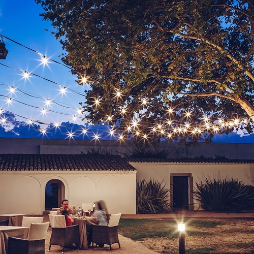 un hombre y una mujer están sentados en una mesa con una botella de vino
