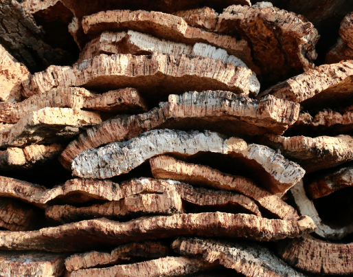 a tree in front of a large pile of wood