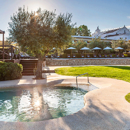 una pequeña piscina rodeada de césped y árboles