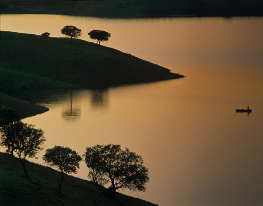 a plate of food with shrimp and bacon on it